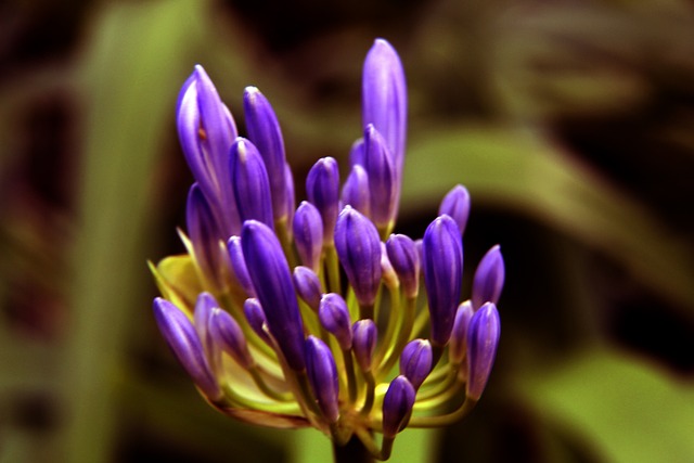 轻的冠军教 轻的冠军教