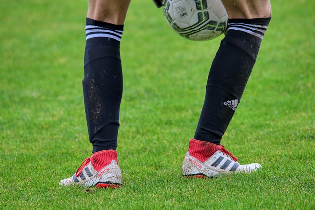 年轻球员树 年轻球员树