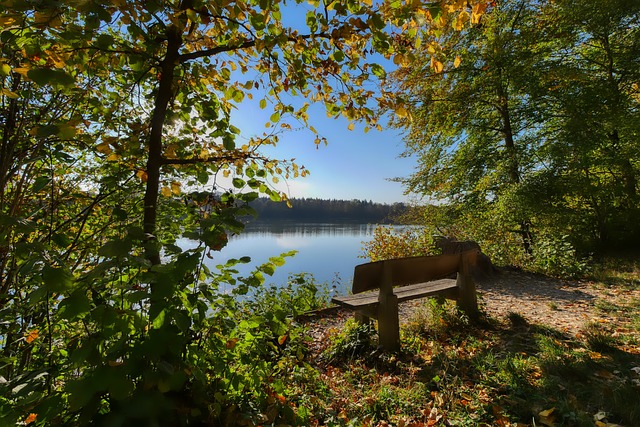 体现在数据 体现在数据