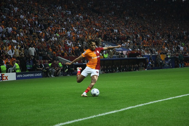 更以其全面 更以其全面