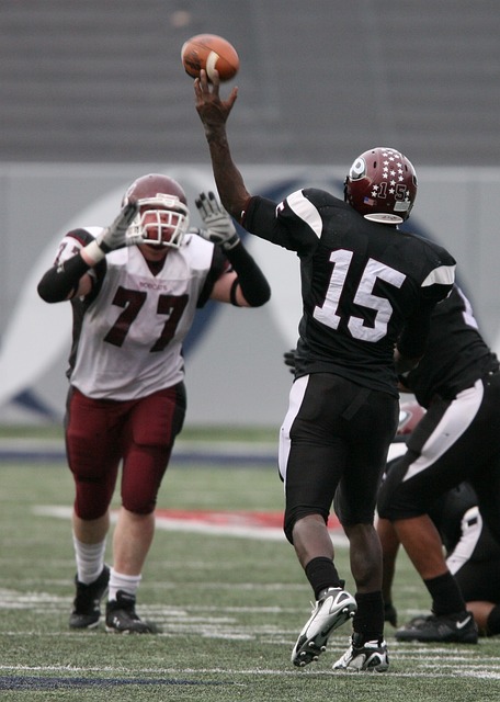 排名仅次于 排名仅次于