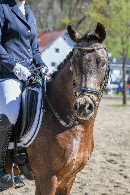 是公认的球 是公认的球