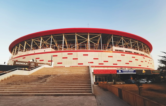 战绩辉煌的 战绩辉煌的