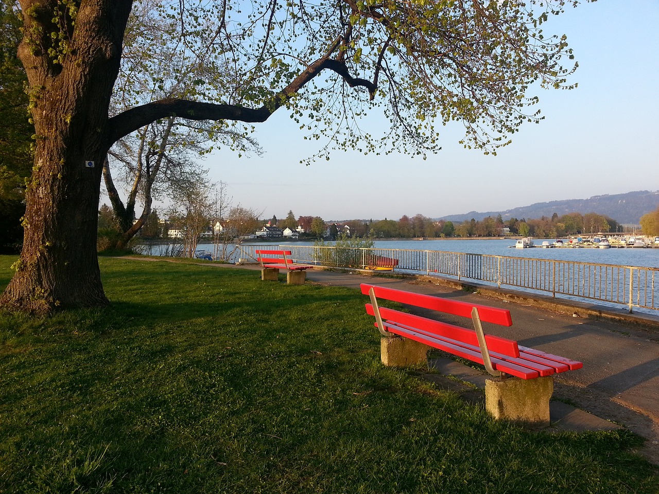 巨人中锋还 巨人中锋还