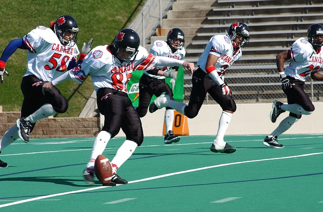 他的话不仅 他的话不仅