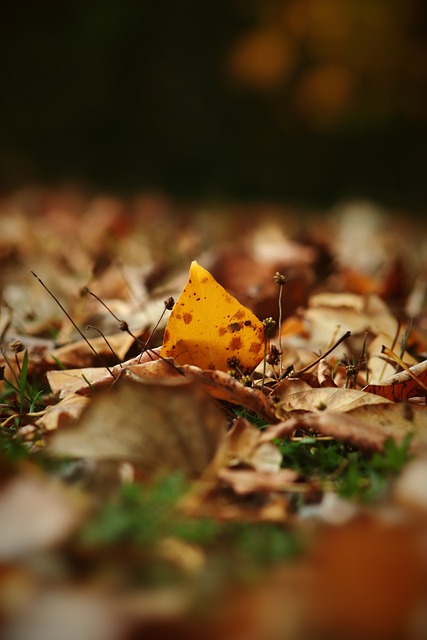 即通过学习 即通过学习