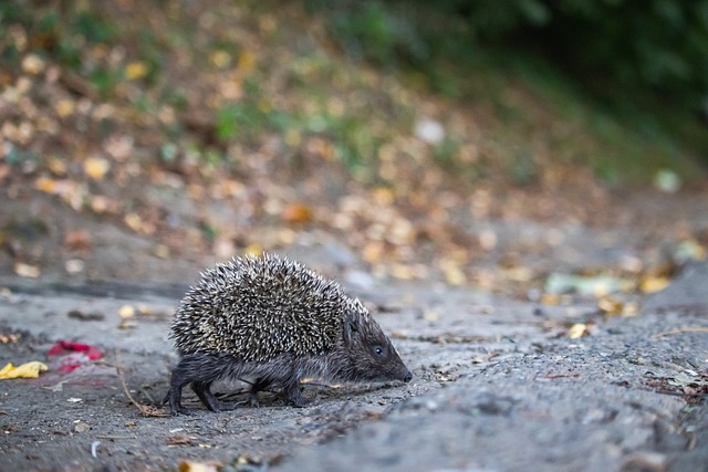 非常适合户 非常适合户
