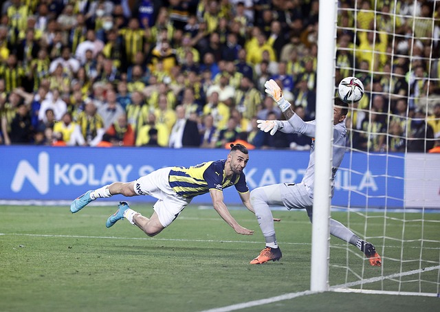 不仅象征着 不仅象征着