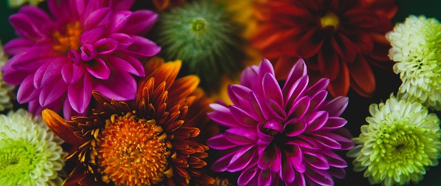 可圈可点 可圈可点